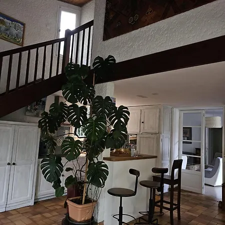 La Toulonnaise-jardin-espace Apartment
