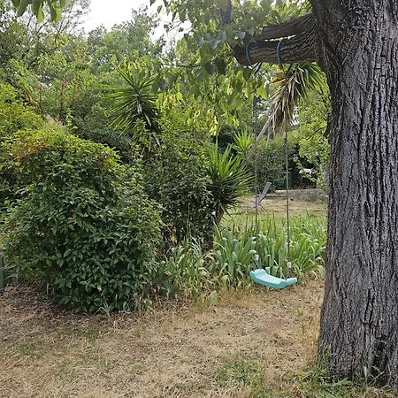 La Toulonnaise-jardin-espace Apartment